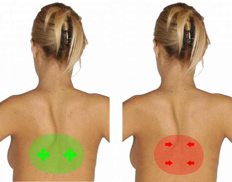 File:Other Upper Body Directing - Mid-Back.png