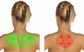 Other Upper Body Directing - Upper Back.png