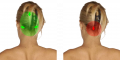 Other Upper Body Directing - Back of Head.png