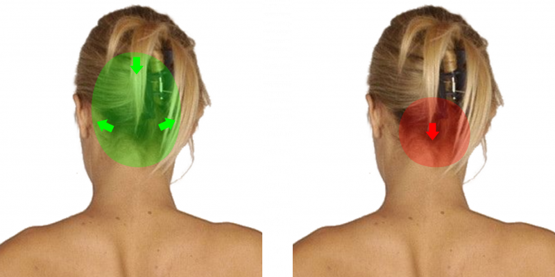 File:Other Upper Body Directing - Back of Head.png