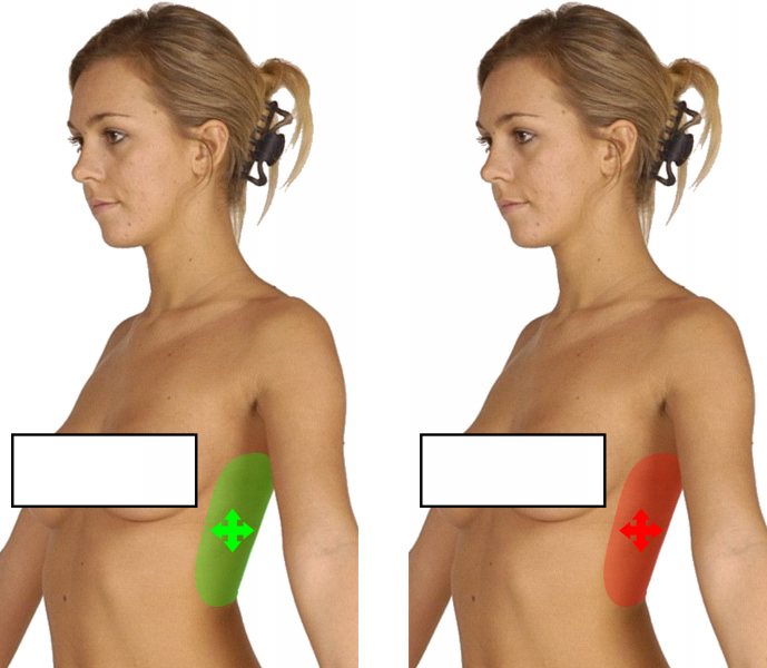 File:Other Upper Body Directing - Side.png