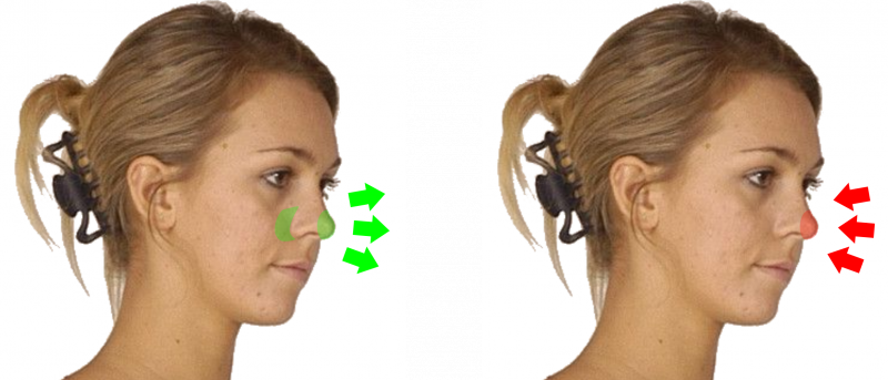 File:Face Directing - Nose.png