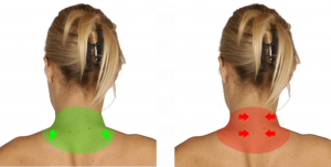 Other Upper Body Directing - Back of Neck.png