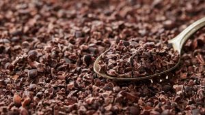 Cacao nibs.jpg