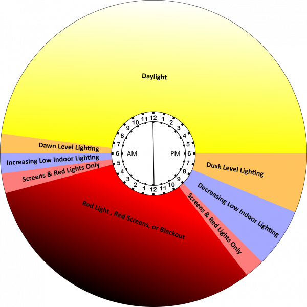 File:Circadian Schedule Diagram.png